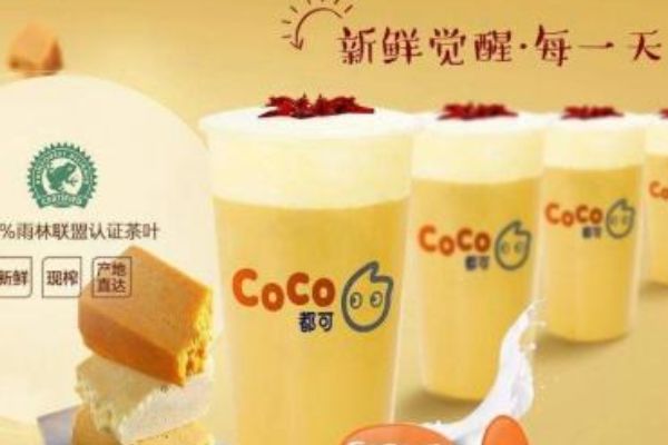 coco加盟150w是真的吗？加盟条件都需要什么呢