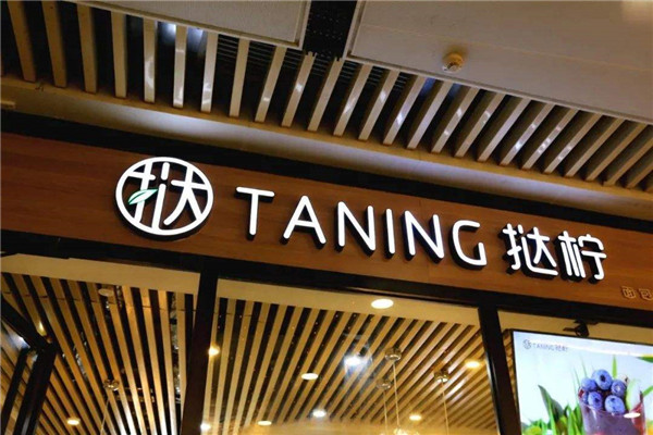 taning挞柠为什么火