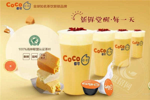 coco能不能加盟